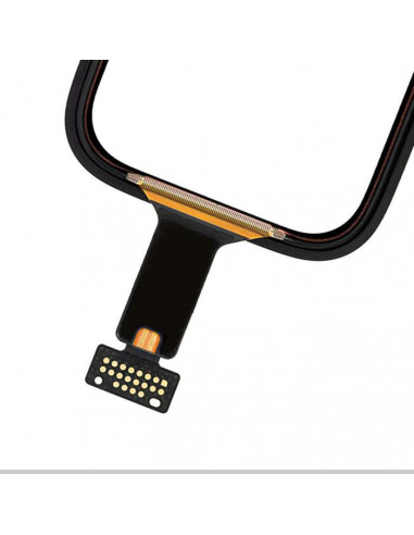 Cristal + Táctil + Oca Apple Watch Serie 5 (44mm)