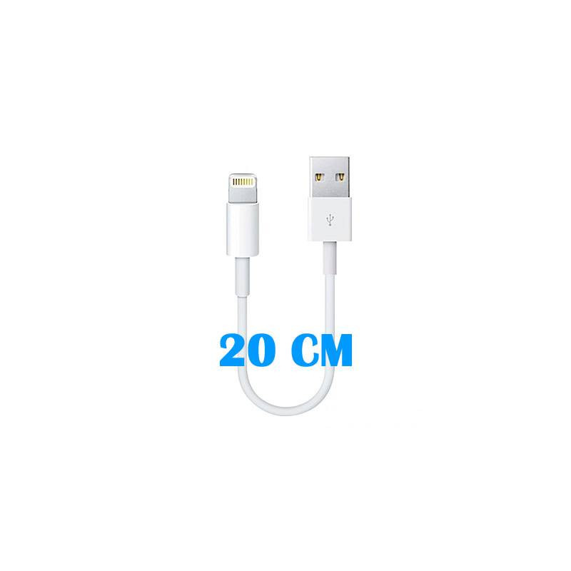 Cable de conector Lightning a USB (20 CM)