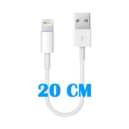 Cable de conector Lightning a USB (20 CM)