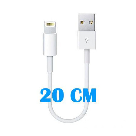 Cable de conector Lightning a USB (20 CM)