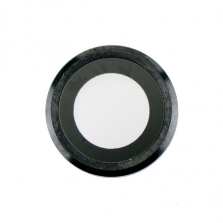 Lente gris iPhone 6s