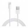 Cable Lightning iPhone USB