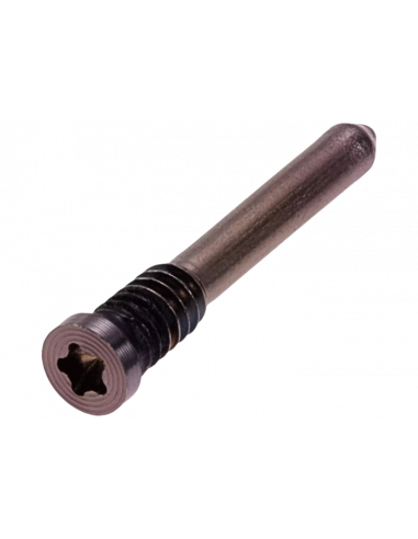 Tornillos inferiores iPhone 16 / 16 Plus / 16 Pro / 16 Pro Max (Oro) (Original)