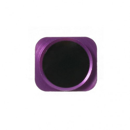 Imitacion touch ID iphone 5