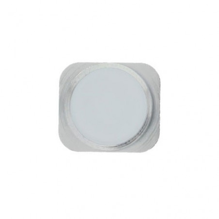 Imitacion touch ID iphone 5