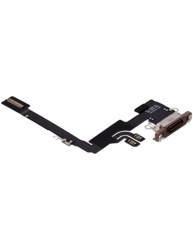 Flex de Carga iPhone 16 Pro (Titanio Arena) (Original)