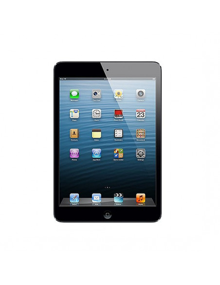 iPad Mini