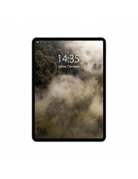iPad Pro 11