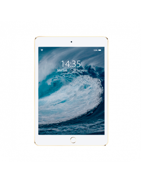 iPad Pro 12.9 (2nd Gen)
